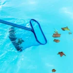 sortie hivernage piscine